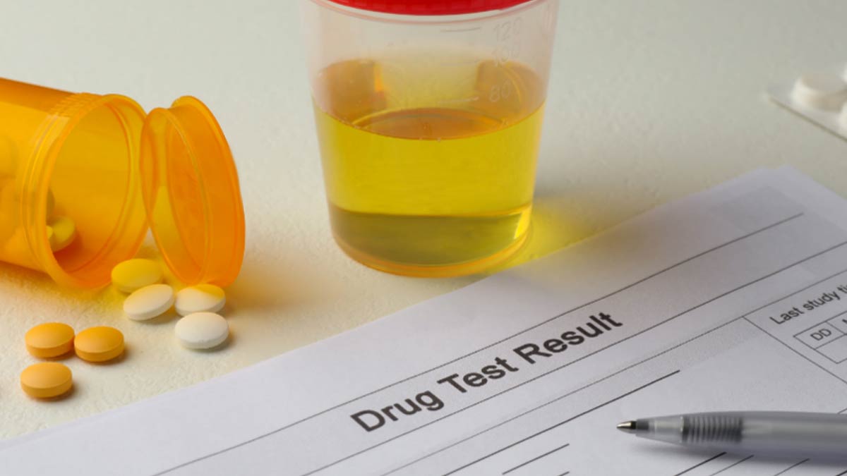 synthetic urine for drug test
