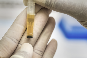 Strategies and tactics: Harnessing Synthetic Urine for Drug Test Success